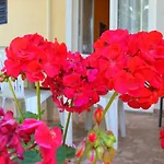 Apartment Girasole